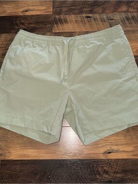 Cuts Clothing Light Sage Green Men's Flat Front Shorts